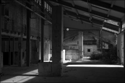 CAMPONOGARA 23 11 2014 ARCHEOLOGIA INDUSTRIALE - PRIMA SCELTA LIBRO L UOMO CHE RACCOGLIEVA LE ALGHE
