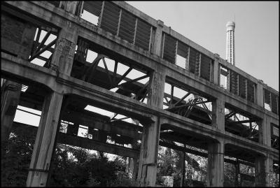 CAMPONOGARA 23 11 2014 ARCHEOLOGIA INDUSTRIALE - PRIMA SCELTA LIBRO L UOMO CHE RACCOGLIEVA LE ALGHE