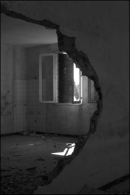 CAMPONOGARA 23 11 2014 ARCHEOLOGIA INDUSTRIALE - PRIMA SCELTA LIBRO L UOMO CHE RACCOGLIEVA LE ALGHE
