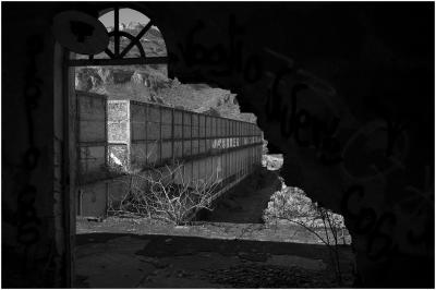 CAMPONOGARA 23 11 2014 ARCHEOLOGIA INDUSTRIALE - PRIMA SCELTA LIBRO L UOMO CHE RACCOGLIEVA LE ALGHE