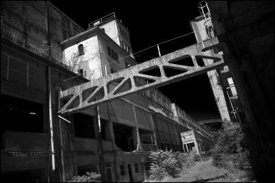 CAMPONOGARA 23 11 2014 ARCHEOLOGIA INDUSTRIALE - PRIMA SCELTA LIBRO L UOMO CHE RACCOGLIEVA LE ALGHE