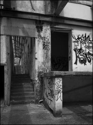 CAMPONOGARA 23 11 2014 ARCHEOLOGIA INDUSTRIALE - PRIMA SCELTA LIBRO L UOMO CHE RACCOGLIEVA LE ALGHE