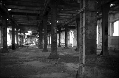 CAMPONOGARA 23 11 2014 ARCHEOLOGIA INDUSTRIALE - PRIMA SCELTA LIBRO L UOMO CHE RACCOGLIEVA LE ALGHE