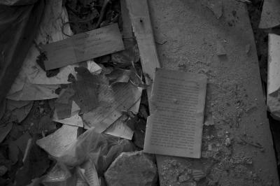 CAMPONOGARA 23 11 2014 ARCHEOLOGIA INDUSTRIALE - PRIMA SCELTA LIBRO L UOMO CHE RACCOGLIEVA LE ALGHE