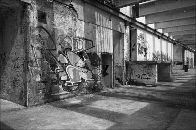 CAMPONOGARA 23 11 2014 ARCHEOLOGIA INDUSTRIALE - PRIMA SCELTA LIBRO L UOMO CHE RACCOGLIEVA LE ALGHE