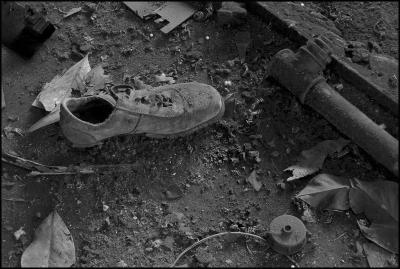 CAMPONOGARA 23 11 2014 ARCHEOLOGIA INDUSTRIALE - PRIMA SCELTA LIBRO L UOMO CHE RACCOGLIEVA LE ALGHE