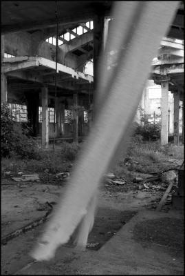 CAMPONOGARA 23 11 2014 ARCHEOLOGIA INDUSTRIALE - PRIMA SCELTA LIBRO L UOMO CHE RACCOGLIEVA LE ALGHE