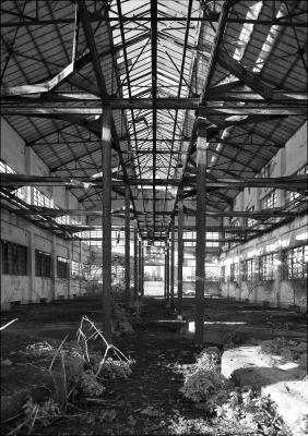 CAMPONOGARA 23 11 2014 ARCHEOLOGIA INDUSTRIALE - PRIMA SCELTA LIBRO L UOMO CHE RACCOGLIEVA LE ALGHE