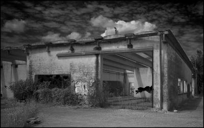 CAMPONOGARA 23 11 2014 ARCHEOLOGIA INDUSTRIALE - PRIMA SCELTA LIBRO L UOMO CHE RACCOGLIEVA LE ALGHE