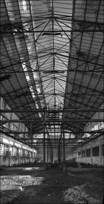 CAMPONOGARA 23 11 2014 ARCHEOLOGIA INDUSTRIALE - PRIMA SCELTA LIBRO L UOMO CHE RACCOGLIEVA LE ALGHE