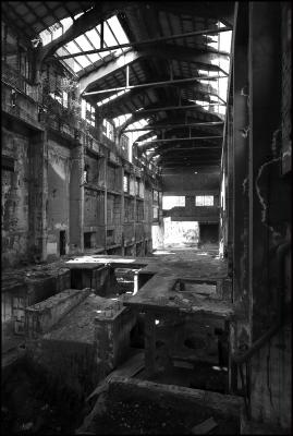 CAMPONOGARA 23 11 2014 ARCHEOLOGIA INDUSTRIALE - PRIMA SCELTA LIBRO L UOMO CHE RACCOGLIEVA LE ALGHE