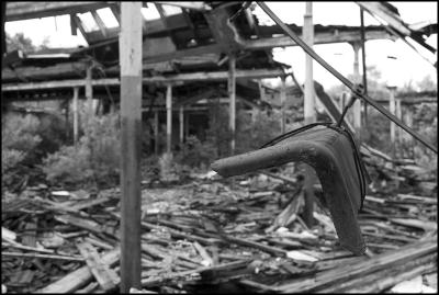 CAMPONOGARA 23 11 2014 ARCHEOLOGIA INDUSTRIALE - PRIMA SCELTA LIBRO L UOMO CHE RACCOGLIEVA LE ALGHE