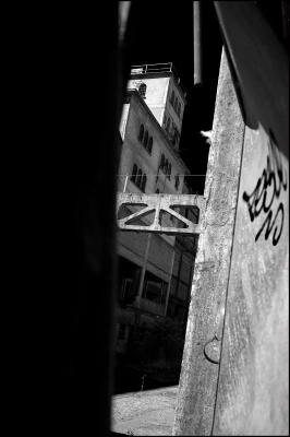 CAMPONOGARA 23 11 2014 ARCHEOLOGIA INDUSTRIALE - PRIMA SCELTA LIBRO L UOMO CHE RACCOGLIEVA LE ALGHE