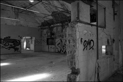 CAMPONOGARA 23 11 2014 ARCHEOLOGIA INDUSTRIALE - PRIMA SCELTA LIBRO L UOMO CHE RACCOGLIEVA LE ALGHE