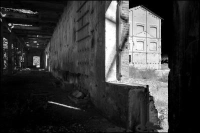 CAMPONOGARA 23 11 2014 ARCHEOLOGIA INDUSTRIALE - PRIMA SCELTA LIBRO L UOMO CHE RACCOGLIEVA LE ALGHE