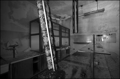 CAMPONOGARA 23 11 2014 ARCHEOLOGIA INDUSTRIALE - PRIMA SCELTA LIBRO L UOMO CHE RACCOGLIEVA LE ALGHE