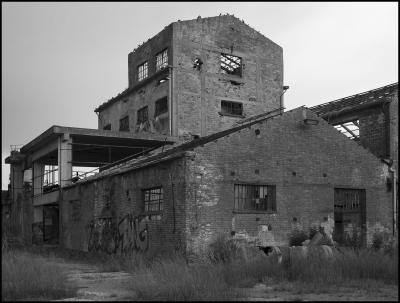 CAMPONOGARA 23 11 2014 ARCHEOLOGIA INDUSTRIALE - PRIMA SCELTA LIBRO L UOMO CHE RACCOGLIEVA LE ALGHE
