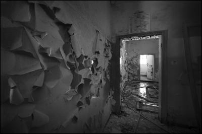 CAMPONOGARA 23 11 2014 ARCHEOLOGIA INDUSTRIALE - PRIMA SCELTA LIBRO L UOMO CHE RACCOGLIEVA LE ALGHE