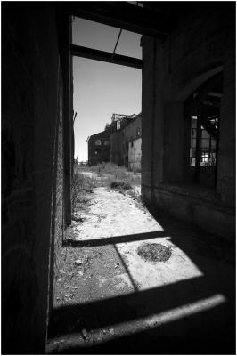 CAMPONOGARA 23 11 2014 ARCHEOLOGIA INDUSTRIALE - PRIMA SCELTA LIBRO L UOMO CHE RACCOGLIEVA LE ALGHE
