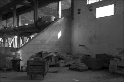 CAMPONOGARA 23 11 2014 ARCHEOLOGIA INDUSTRIALE - PRIMA SCELTA LIBRO L UOMO CHE RACCOGLIEVA LE ALGHE