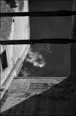 CAMPONOGARA 23 11 2014 ARCHEOLOGIA INDUSTRIALE - PRIMA SCELTA LIBRO L UOMO CHE RACCOGLIEVA LE ALGHE