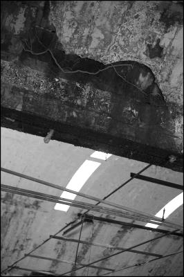 CAMPONOGARA 23 11 2014 ARCHEOLOGIA INDUSTRIALE - PRIMA SCELTA LIBRO L UOMO CHE RACCOGLIEVA LE ALGHE