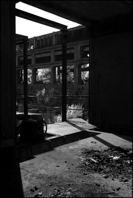 CAMPONOGARA 23 11 2014 ARCHEOLOGIA INDUSTRIALE - PRIMA SCELTA LIBRO L UOMO CHE RACCOGLIEVA LE ALGHE