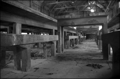 CAMPONOGARA 23 11 2014 ARCHEOLOGIA INDUSTRIALE - PRIMA SCELTA LIBRO L UOMO CHE RACCOGLIEVA LE ALGHE