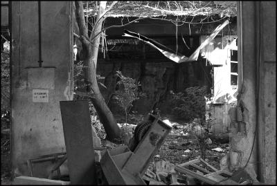 CAMPONOGARA 23 11 2014 ARCHEOLOGIA INDUSTRIALE - PRIMA SCELTA LIBRO L UOMO CHE RACCOGLIEVA LE ALGHE