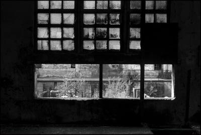 CAMPONOGARA 23 11 2014 ARCHEOLOGIA INDUSTRIALE - PRIMA SCELTA LIBRO L UOMO CHE RACCOGLIEVA LE ALGHE