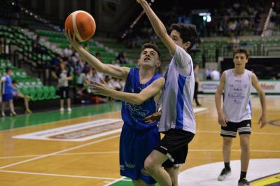 TREVISO23 04 2018 LNP CAMPIONATO 2017-2018 SCHOOL CUP