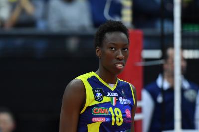TREVISO 19 11 2019 CEV 2019-2020 A CARRARO IMOCO  - VASAS OBUDA BUDAPEST