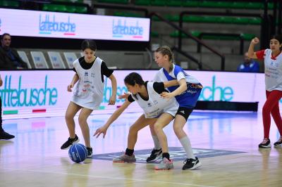 TREVISO 2042023 LBA NUTRIBULLET TREVISO BASKET - SCHOOL CUP