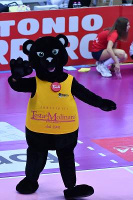 TREVISO 15012025 LEGAVOLLEY FEMMINILE CAMPIONATO 2024 - 2025 PROSECCO DOC IMOCO - MEGABOX VALLEFOGLIA
